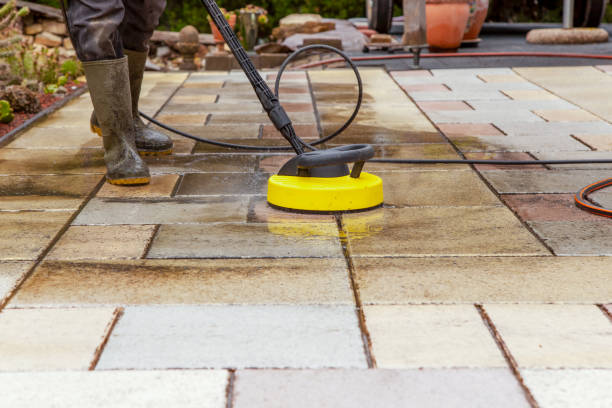 Best Driveway Pressure Washing  in Saint Johns University, MN