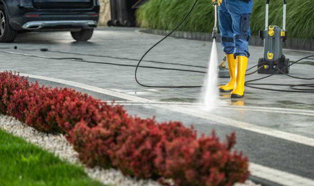 Professional Pressure Washing Services in Saint Johns University, MN